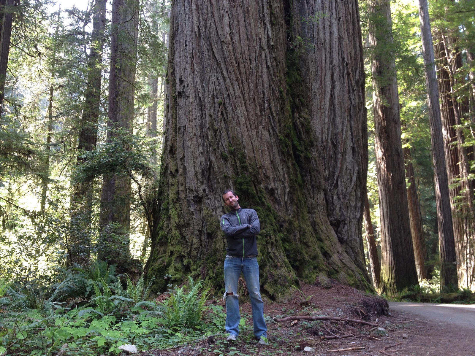 Justin standing with arms crossed at the base of an enormous moss-covered redwood, looking tiny against the towering trunk in a sun-dappled forest