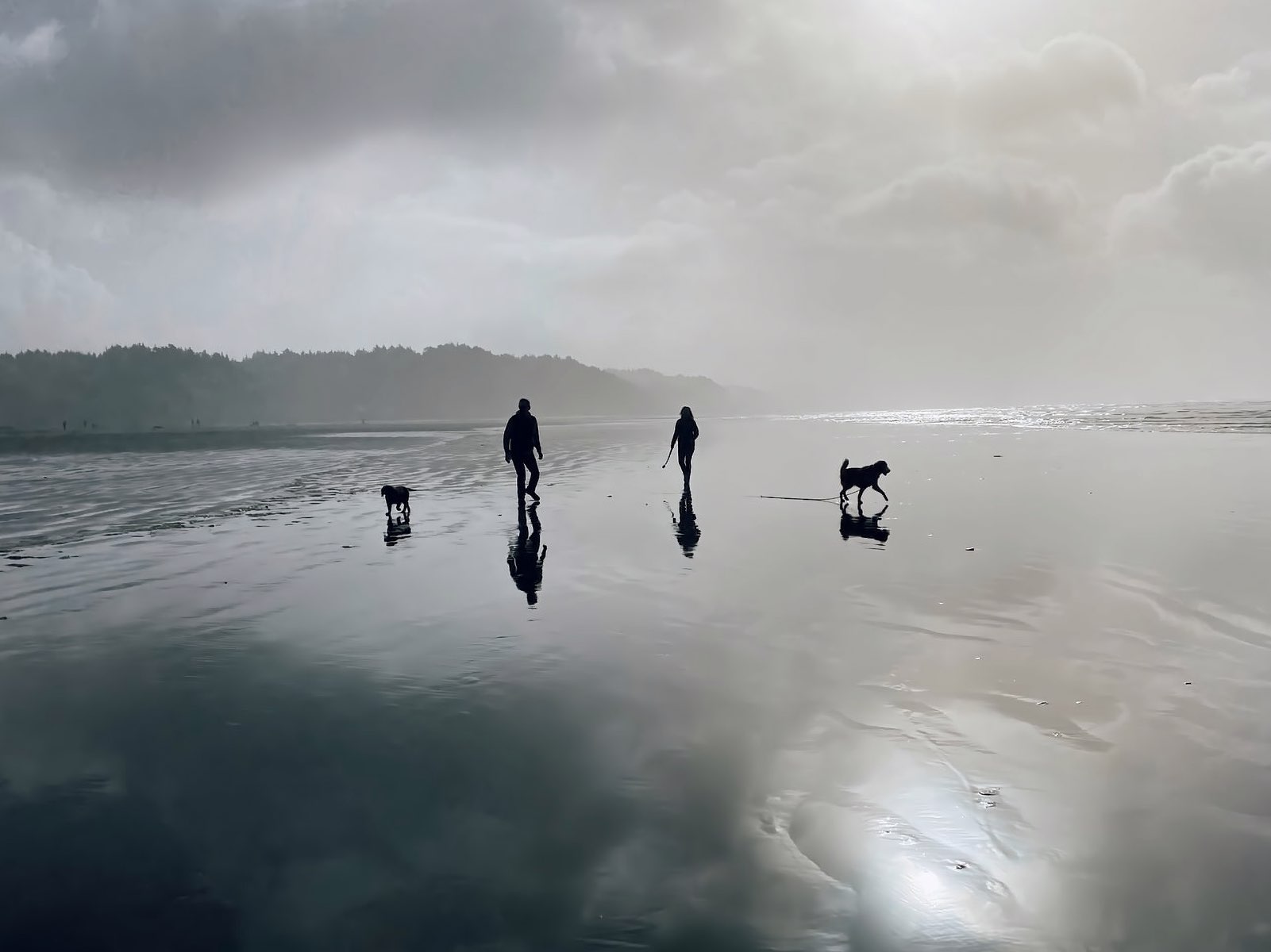 Two silhouetted people - Justin and Pam - walking along a vast, reflective beach at low tide. They are accompanied by two dogs - Olive and Dylan - one dog is walking near each person. The scene has a moody, atmospheric quality with cloudy, gray skies creating a dramatic backdrop. The wet sand perfectly mirrors the figures and the diffused light from the sky, creating striking reflections. In the distance, there appears to be a forested shoreline or hills shrouded in mist. Light breaks through the clouds on the right side of the image, causing some brightness on the water's surface. The overall color palette is dominated by shades of gray and silver, giving the scene a serene, contemplative mood. The beach appears largely empty except for these figures, suggesting a peaceful, solitary walk along the shoreline.