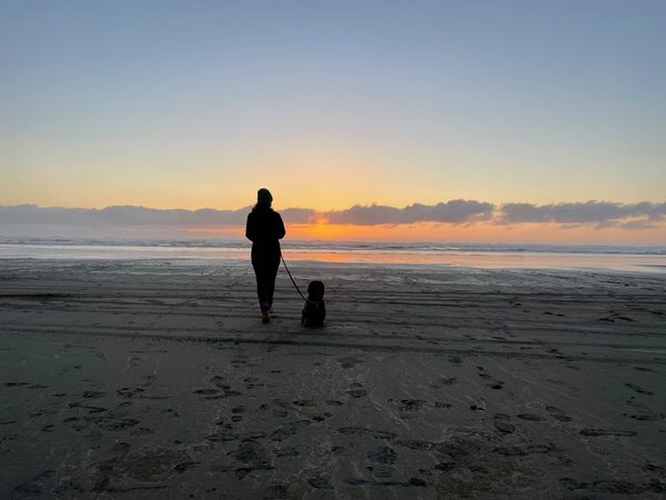 A silhouette of a Pam walking a Olive on a leash along a beach at sunset or sunrise. The Pam and Olive are dark silhouettes against a colorful sky, with the sun visible just above the horizon, creating orange and golden hues that blend into blue. The beach appears wide and flat with smooth, damp sand that reflects some of the light from the sky. The ocean is visible in the background with gentle waves, and a layer of clouds stretches across the horizon. The scene conveys a peaceful, contemplative moment of a solitary walk along the shoreline during the golden hour, with long shadows stretching across the sand. The contrast between the dark figures and the vibrant sky creates a striking visual composition.
